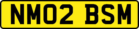 NM02BSM