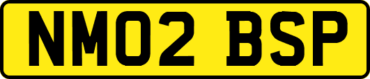 NM02BSP