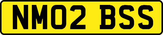 NM02BSS