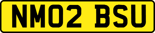NM02BSU