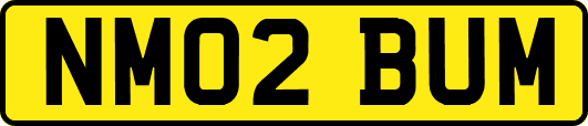 NM02BUM