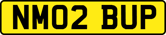 NM02BUP