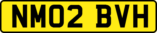 NM02BVH