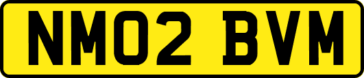 NM02BVM