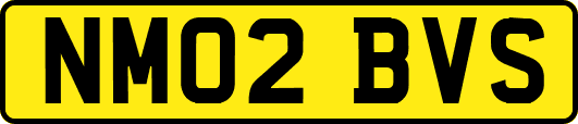 NM02BVS