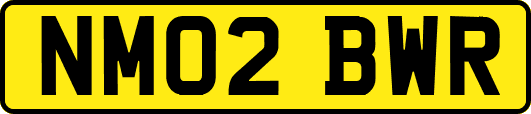 NM02BWR