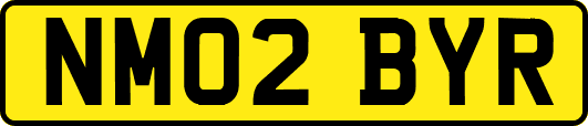 NM02BYR