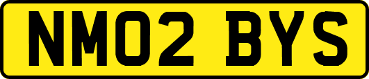 NM02BYS