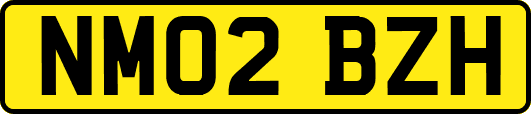 NM02BZH