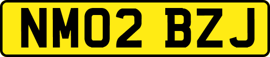 NM02BZJ