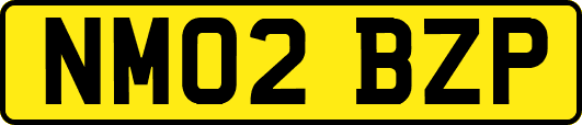 NM02BZP