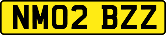 NM02BZZ