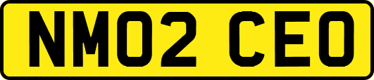 NM02CEO