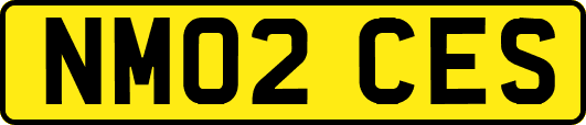 NM02CES