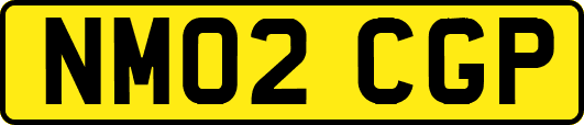 NM02CGP