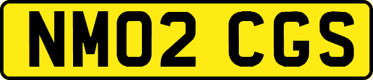 NM02CGS