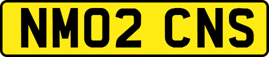 NM02CNS