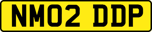 NM02DDP