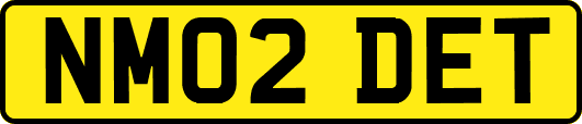 NM02DET