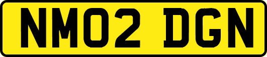 NM02DGN