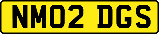 NM02DGS