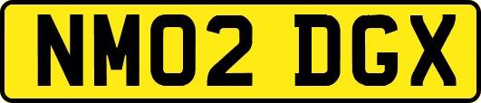 NM02DGX