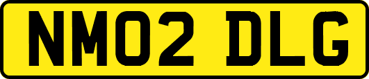 NM02DLG