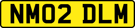 NM02DLM