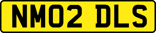 NM02DLS