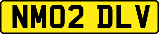 NM02DLV