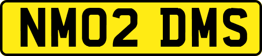 NM02DMS