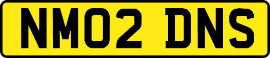NM02DNS