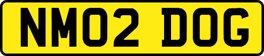 NM02DOG