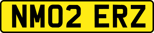 NM02ERZ