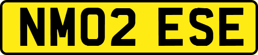 NM02ESE