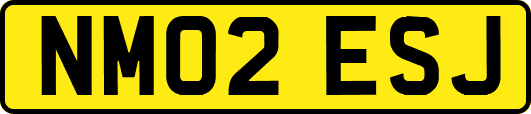 NM02ESJ