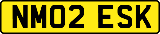 NM02ESK