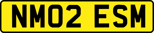 NM02ESM