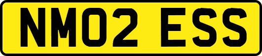 NM02ESS