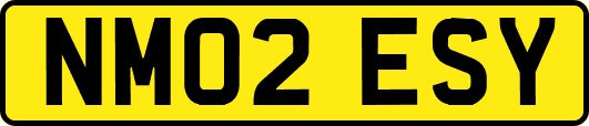 NM02ESY