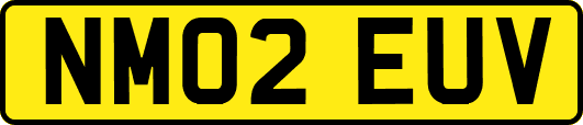 NM02EUV