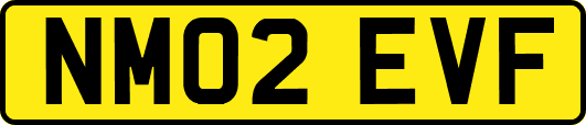 NM02EVF