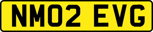NM02EVG