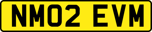 NM02EVM
