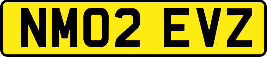 NM02EVZ