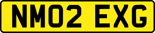 NM02EXG