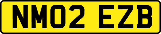 NM02EZB