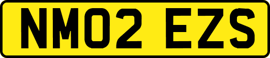 NM02EZS