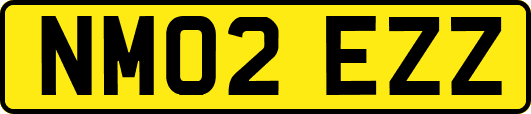 NM02EZZ