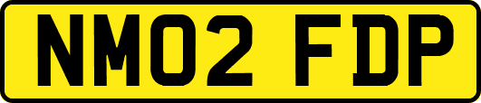 NM02FDP